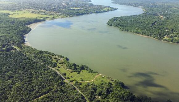 Según el estudio de WRI Brasil, un nuevo modelo de desarrollo para la Amazonía que mantenga la selva en pie, con la promoción de actividades de bioeconomía, puede agregarle US$ 8,420 millones anuales al PIB de la Amazonía brasileña a partir del 2050. (Foto: EFE)