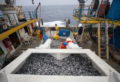 Oportunidades de descarbonización de tres sectores clave en la economía del Perú