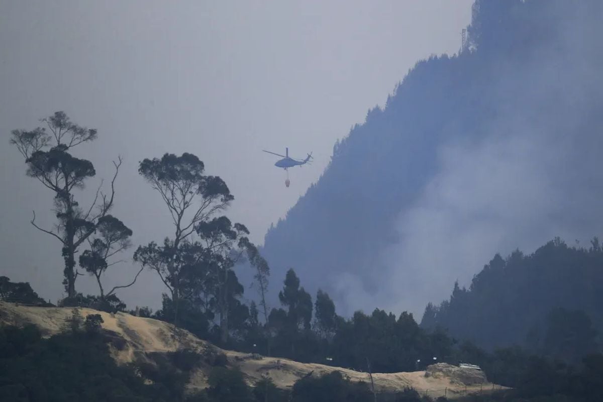 En lo que va del 2024 en el departamento del Atlántico se han atendido, en articulación con los diferentes cuerpos de bomberos de los municipios, cerca de 400 incendios forestales o quemas prohibidas. (Foto: EFE)