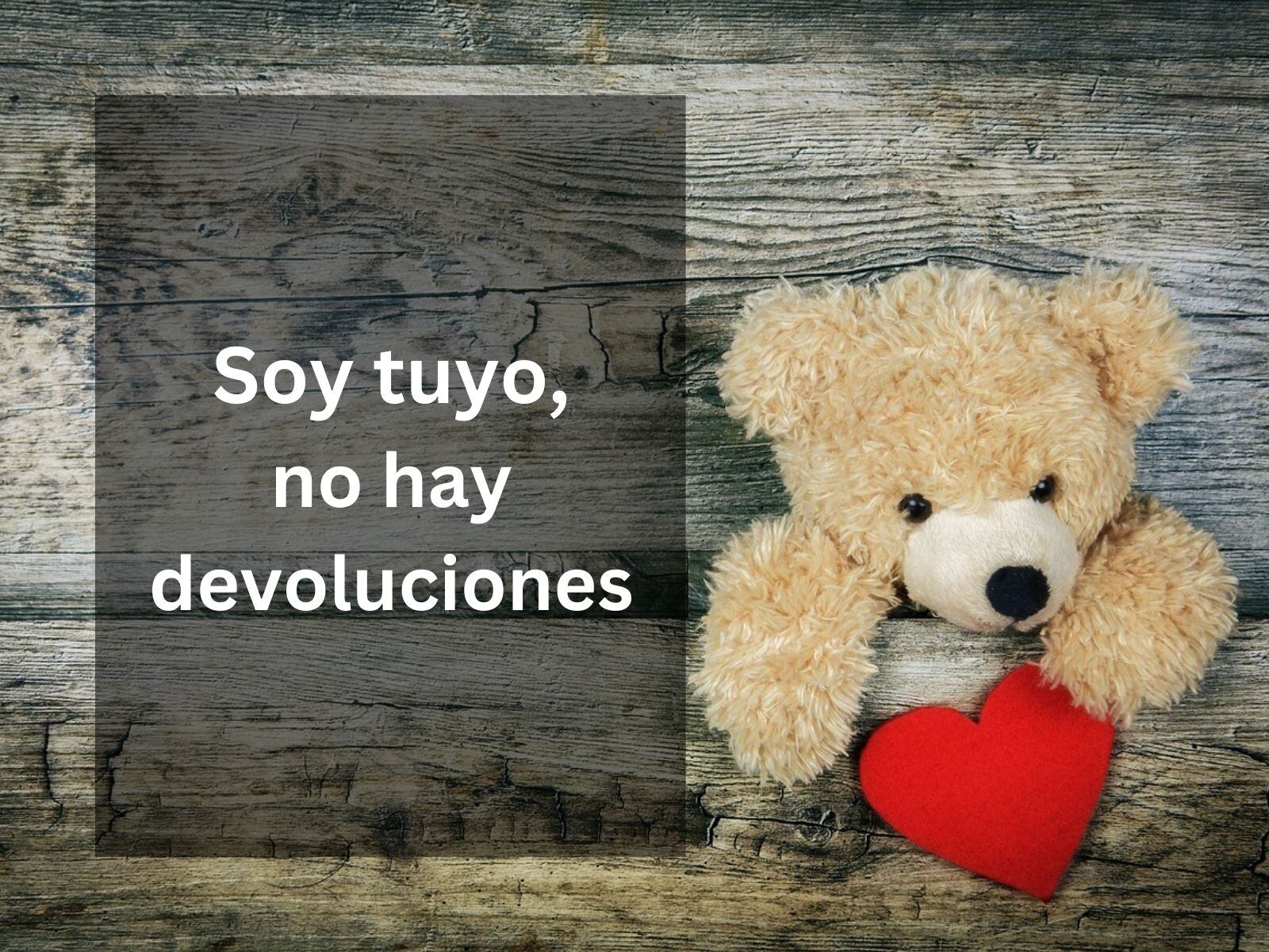 Soy tuyo, no hay devoluciones. | Imagen de <a href="https://pixabay.com/es/users/bru-no-1161770/?utm_source=link-attribution&utm_medium=referral&utm_campaign=image&utm_content=3096380">Bruno</a> en <a href="https://pixabay.com/es//?utm_source=link-attribution&utm_medium=referral&utm_campaign=image&utm_content=3096380">Pixabay</a> / Composición