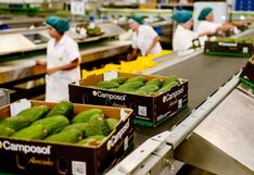 Agroexportaciones: ¿Qué empresas lideraron el ranking en el primer semestre?