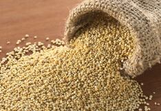 Exportación de quinua aumentó en 40% al cierre del 2024