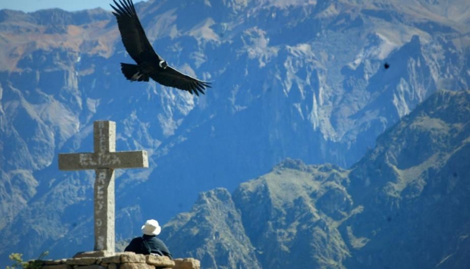 El Cañón del Colca se ubica el sur de la región Arequipa. (Foto: Andina)