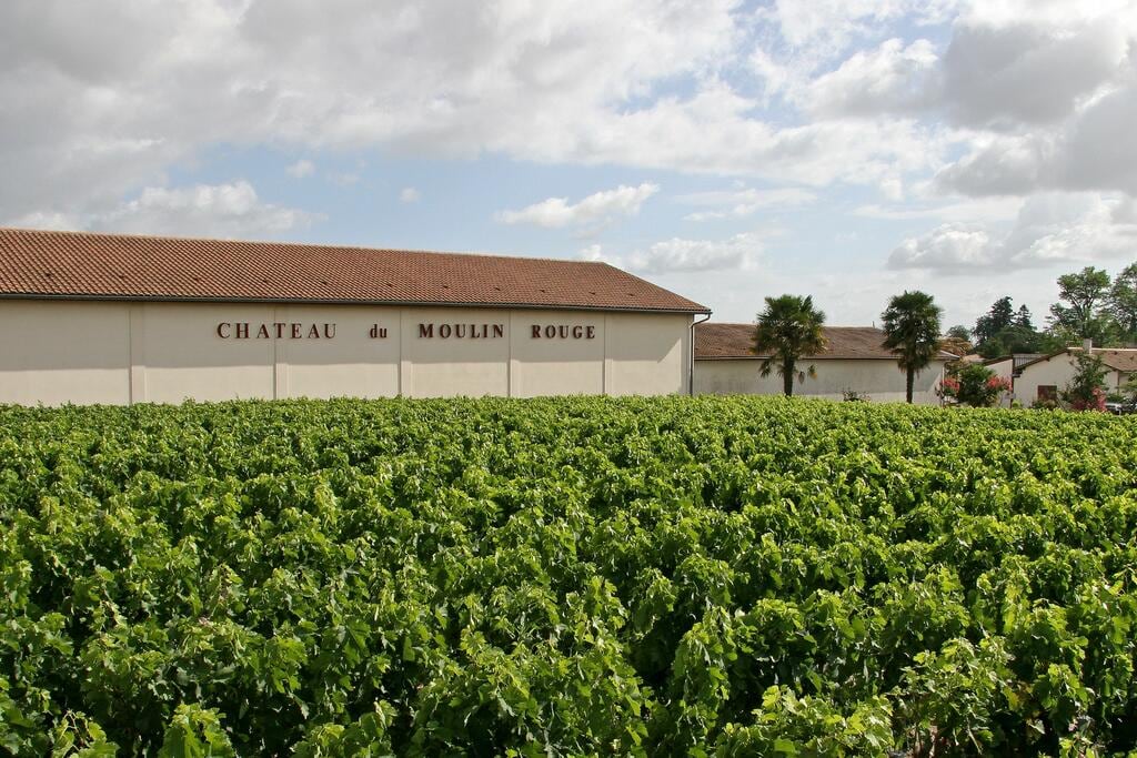 Château du Moulin Rouge, ubicado estratégicamente en la comuna de Cussac-Fort-Médoc, este viñedo no solo contempla el estuario de la Gironda; vive de él.