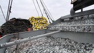 Produce defiende tercera propuesta de derechos de pesca: recaudará más de S/ 112 millones anuales