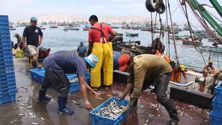 Produce establece límites de pesca de jurel en 70,568 toneladas para 2024