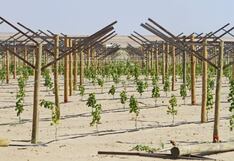 Olmos: presentan solicitud para extender concesión del proyecto de irrigación