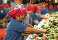 Adex: 2,668 nuevas empresas peruana iniciaron su exportación a septiembre del 2024