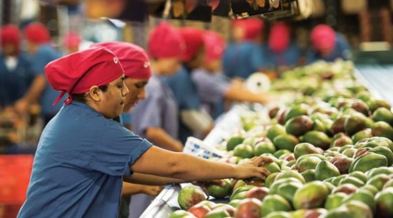 Empresas exportadoras peruanas llegan a más de 3,000, incrementando cifras del 2023. Foto: gob.pe