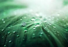 Repsol anuncia que congela sus inversiones en hidrógeno verde en España