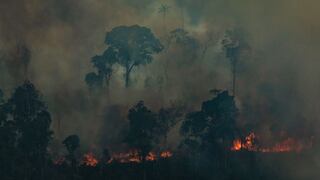La Amazonía bajo presión de sequías, especulación y políticas públicas 
