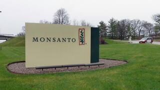 Manifestaciones mundiales contra Monsanto y Bayer este fin de semana