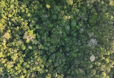 La mitad del bosque de Perú podría ser “candidato” para la ilegalidad: ¿espacio “huérfano”?