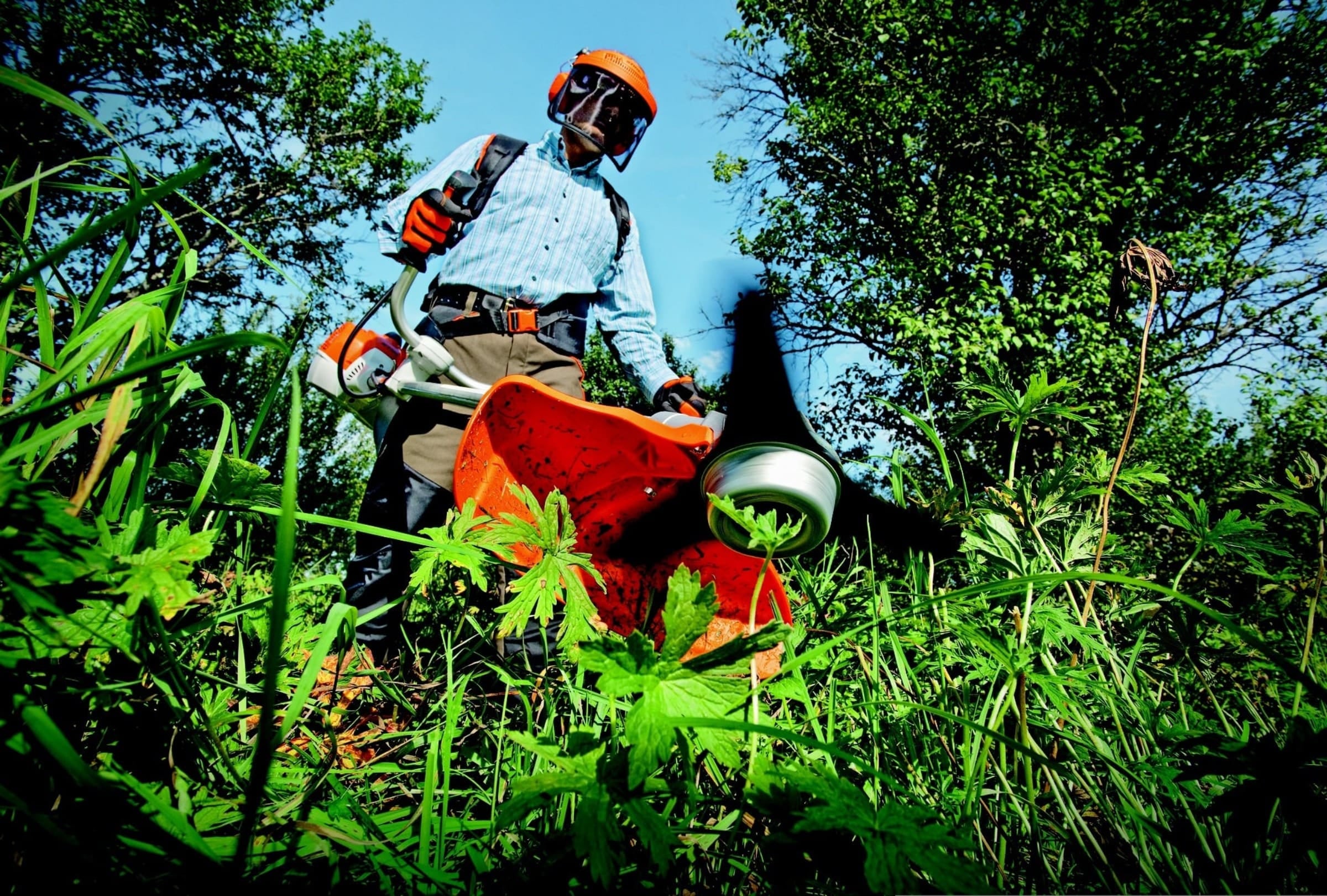 Productores aseguran que se pierde S/ 20,000 por hectárea. Foto: Pexels referencial