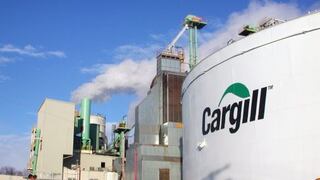Cargill: Tenemos que seguir promoviendo más mercados abiertos para buscar a los más eficientes