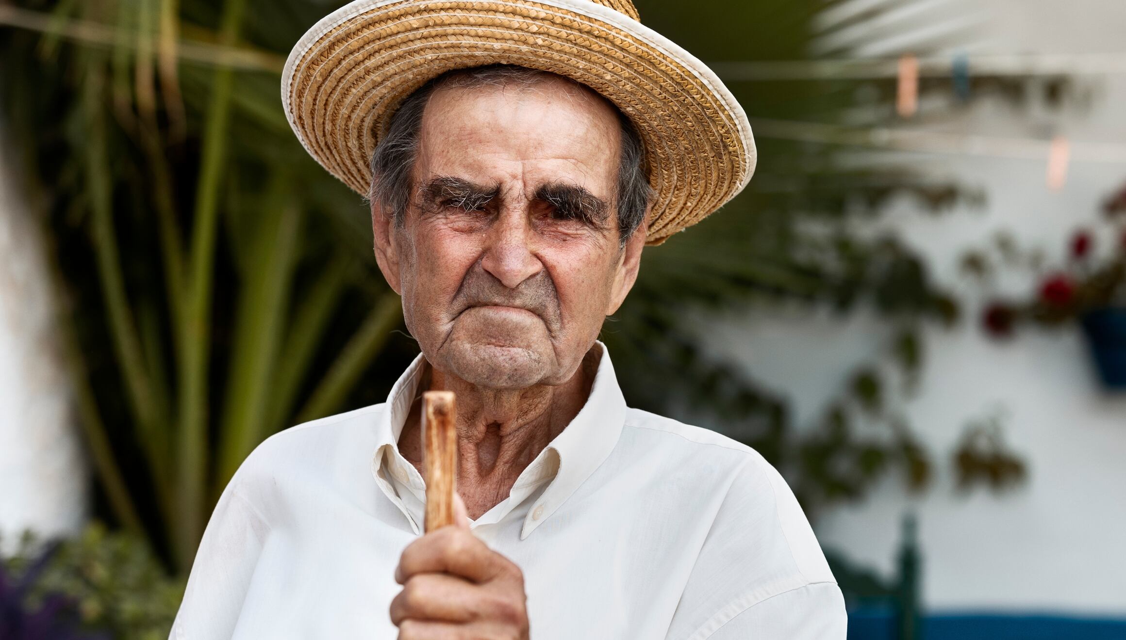 A lo largo de los años, expertos en jubilación siempre han recomendado esperar hasta los 70 para pedir los beneficios del Seguro Social (Foto: Freepik)