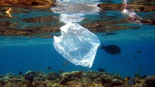La contaminación de plástico aumenta en aguas del Ártico, según un estudio