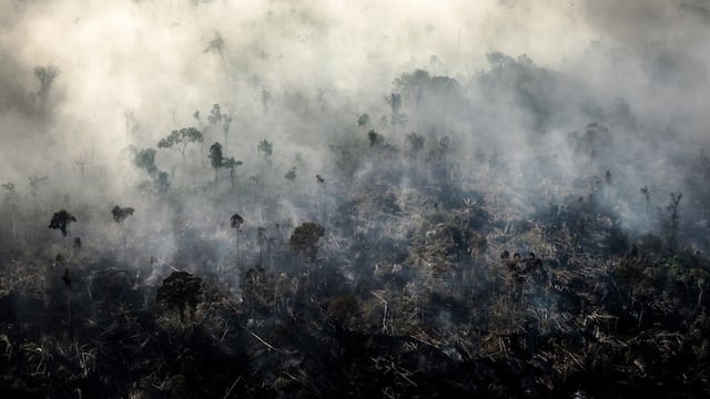 La Amazonía se está deteriorando demasiado rápido
