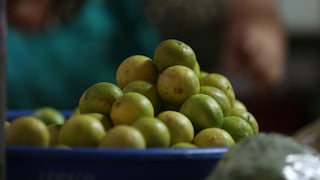Precio del limón a la baja: ¿Cuánto cuesta en los mercados mayoristas?