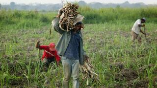 Escasez de comida en Venezuela empeorará en el 2018, advierten agricultores