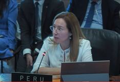 OEA: Candidata peruana fue elegida por el Consejo Permanente como experta alterna