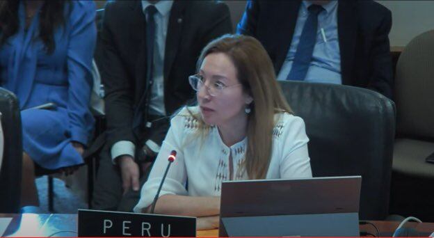 Ángela Hernández fue elegida hoy por la OEA como experta alterna del Grupo de Trabajo de seguimiento a la implementación de la Declaración Americana de Derechos de los Pueblos Indígenas. Foto: Cancillería.