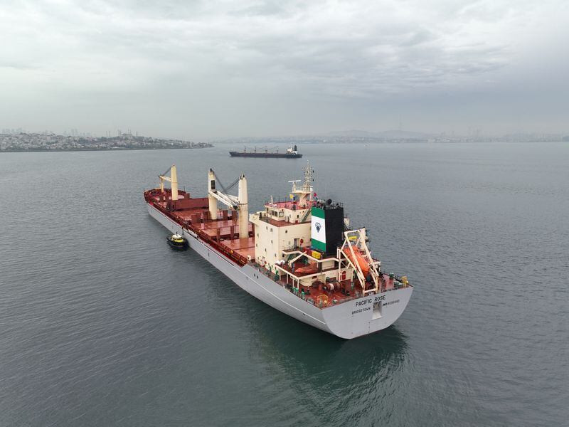 El granelero Pacific Rose, con bandera de Barbados y que transporta grano en el marco de la iniciativa de la ONU sobre el grano en el Mar Negro, espera a ser inspeccionado en el fondeadero sur de Estambul. ( Foto: Reuters )