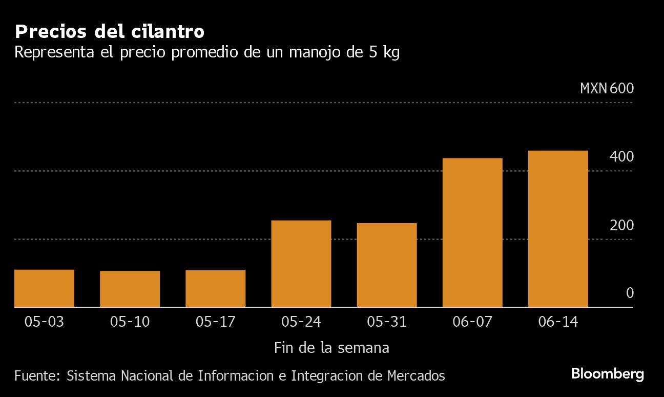 Precios del cilantro | Representa el precio promedio de un manojo de 5 kg