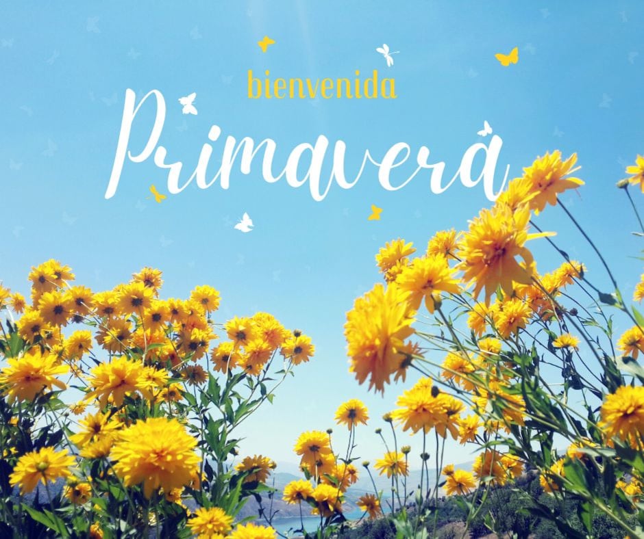 Este sábado 21 de marzo inicia la primavera en México y Estados Unidos, una fecha donde muchas personas regalarán flores amarillas a sus parejas (Foto: Canva.com)