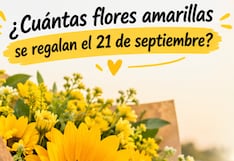 💐 ¿Cuántas flores amarillas se regalan el 21 de septiembre? Esto significa cada cantidad