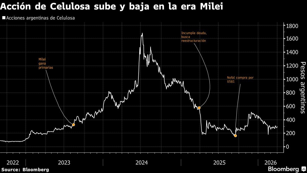 Acción de Celulosa sube y baja en la era Milei