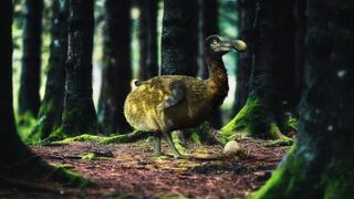Startup de biotecnología busca ‘revivir’ al pájaro dodo y al mamut lanudo