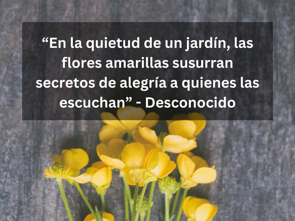 “En la quietud de un jardín, las flores amarillas susurran secretos de alegría a quienes las escuchan” - Desconocido | Foto de Jessica Lewis en Pexels / Composición Mix