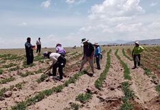 AGAP: Deterioro institucional y falta de políticas agravan crisis del agro
