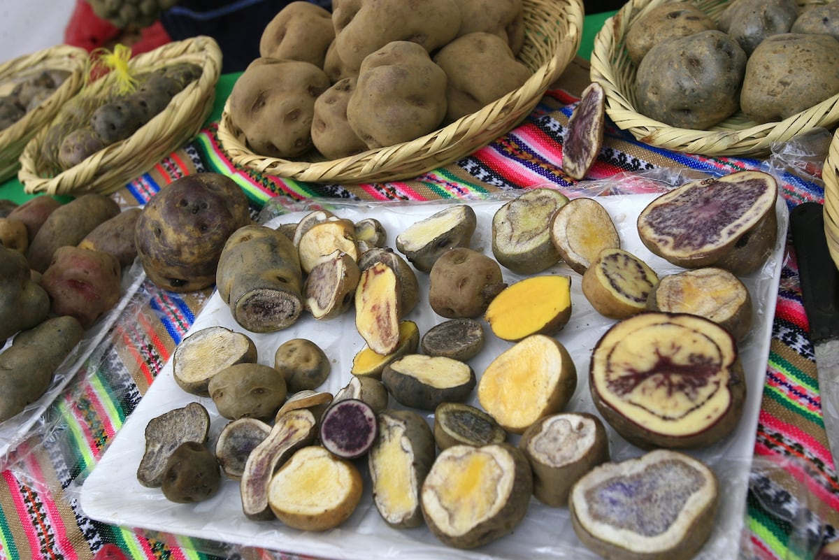 El 4 de julio, una delegación del Gobierno peruano propondrá a la FAO que se declare el Día Internacional de la Papa. (Foto: GEC)