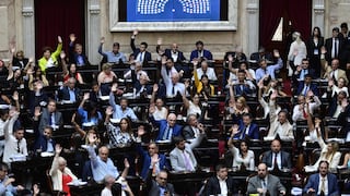 ‘Ley ómnibus’ de Milei se apresta a votación clave en Congreso argentino