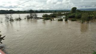 Tumbes: 2,000 hectáreas de arroz, plátano y limón afectados por desborde de río