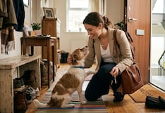 Las cifras detrás de la “paternidad de mascotas” en América Latina: gastos y servicios