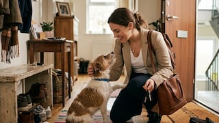 Las cifras detrás de la “paternidad de mascotas” en América Latina: gastos y servicios