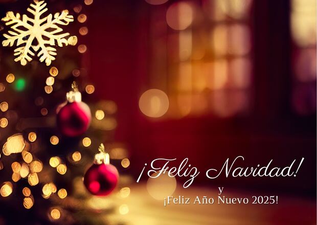 Que esta Navidad encuentres felicidad, salud, amor y dinero. Lo que no encuentres, búscalo en Google. (Foto: Canva.com)