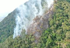 Se espera restaurar 1000 hectáreas degradadas por incendios forestales en San Martín
