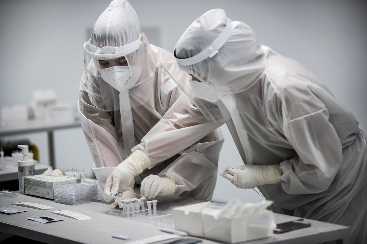 El estudio sugiere que que la musaraña puede ser un reservorio natural del virus. (Foto: Carlos Costa | AFP)