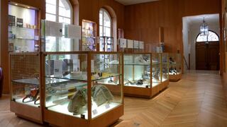 De la aduana al museo: la falsificación al descubierto en París