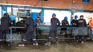 Livigui Perú se alista a realizar mejoras tecnológicas en su planta de Arequipa