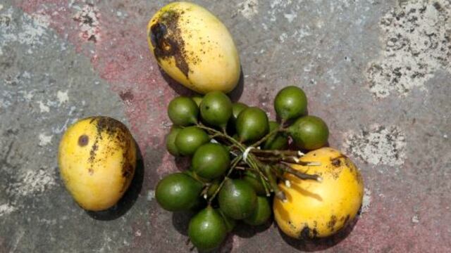 En Venezuela frutas tropicales son salvavidas en medio de escasez de alimentos