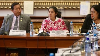 Congreso: Comisión de Energía y Minas aprueba nuevo plan de trabajo tras cuestionamientos