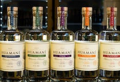 Cero alcohol: la propuesta de Pisco Huamaní y los planes en el enoturismo