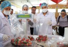 Monitoreo en supermercados a fresas y pepinillos, ¿están libres de residuos de plaguicidas?