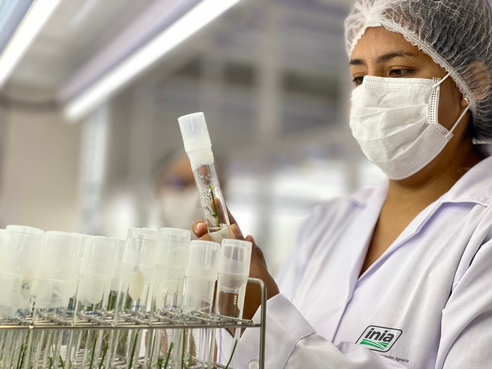 INIA. (Foto: Difusión)