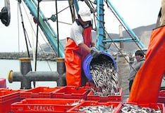 Acciones de pesqueras en rojo, ¿cuándo remontarían?